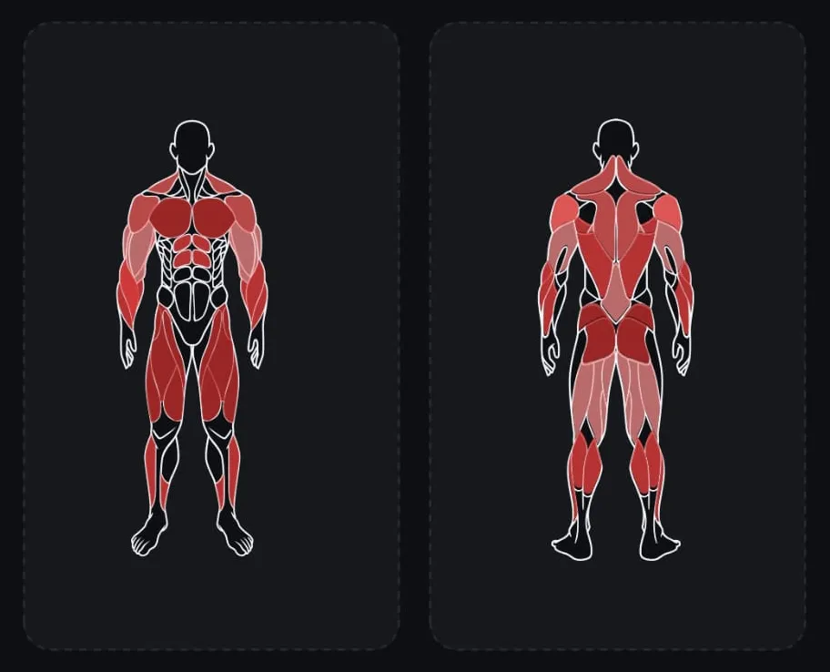 Muscle map interface